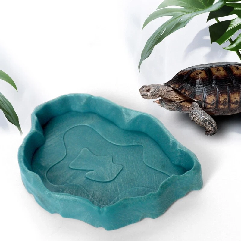 Bearded dragon feeding hot sale dish