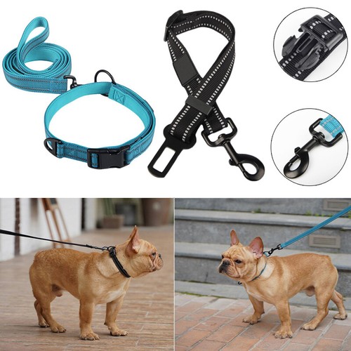 Adjustable Traction Collar Rope