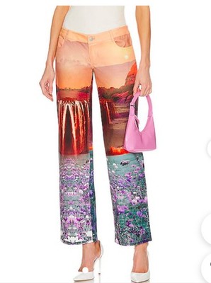 MIAOU Atlas printed art photo pants straight leg low waist NEW sz L