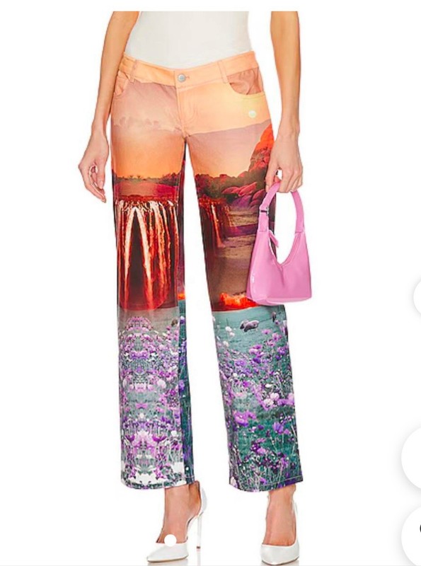 MIAOU Atlas printed art photo pants straight leg low waist NEW sz L
