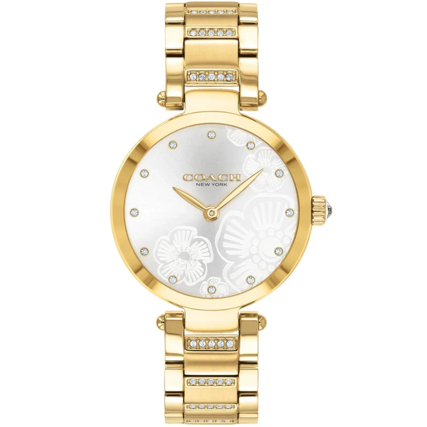 Orologio Coach Donna Park Quadrante Argento 14503625