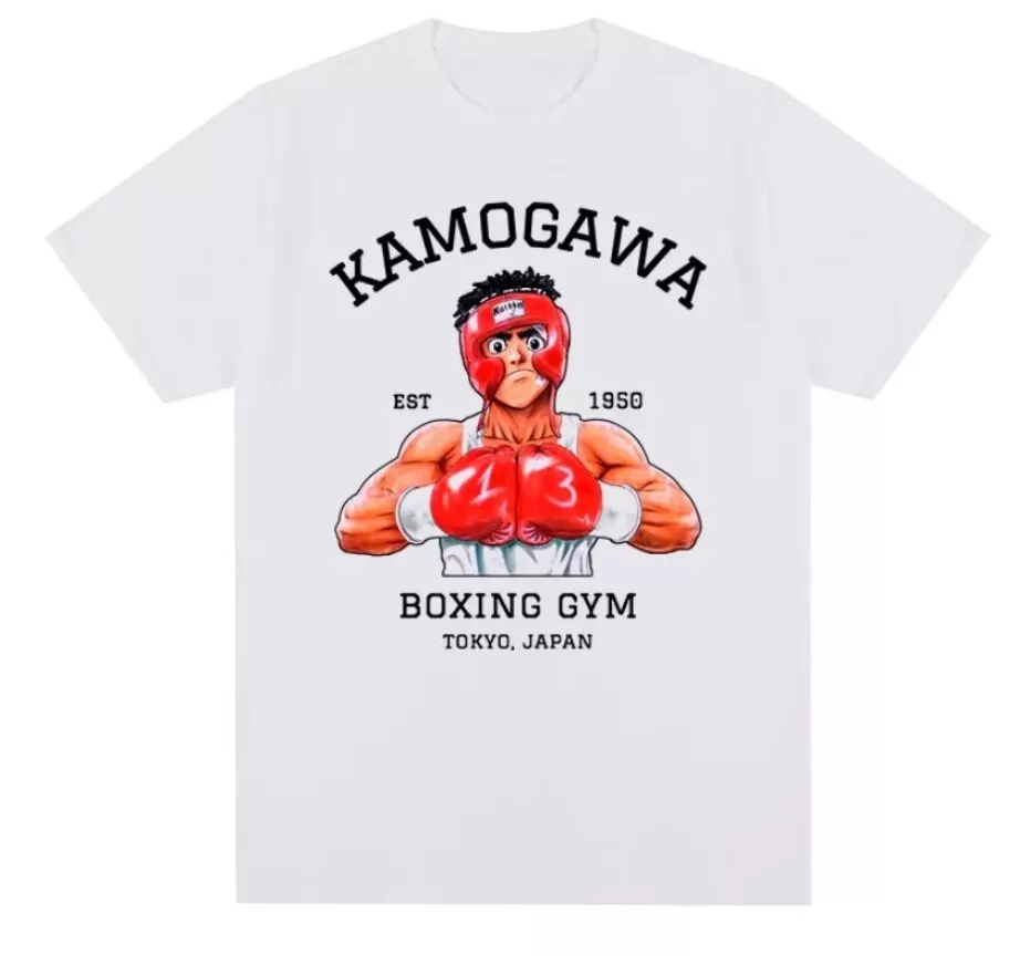 how old ippo is?how long can he keep boxing? and what will happen to  kamogawa? : r/hajimenoippo