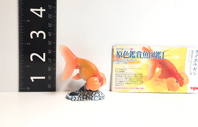 YUJIN Japan Exclusive Freshwater Bubble Eye Goldfish Fish