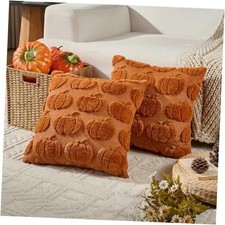 Pumpkin Fall Throw Pillow Covers 20x20 Set 20" x 20" Pack of 2 Rust Pumpkin