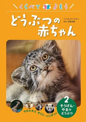 Japan NEW Grassland & Mountain Animals Pallas's Cat Giraffe Panda