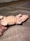 Picture 4 of 6