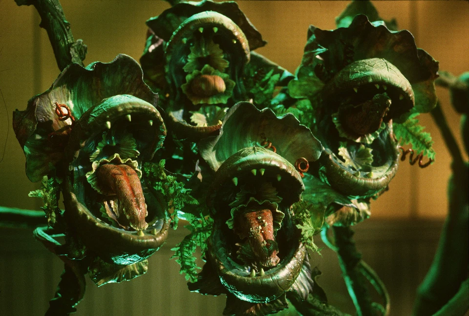 Der kleine Horrorladen - Frank Oz - Rick Moranis - Blu-ray Disc - OVP - NEU - Bild 4 von 4