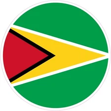 (NOT A PATCH) Guyana Country Round Shape Flag Heat Transfer Vinyl Iron On HTV