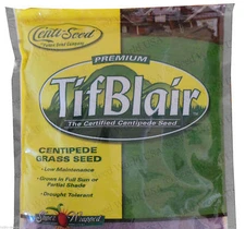 Tifblair Centipede Grass Seed - 1/2 Lb.