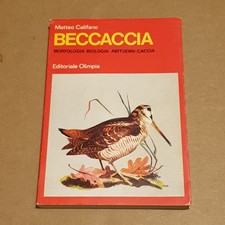 BECCACCIA Matteo Califano Olimpia 1978 - Libro Morfologia Caccia cacciatore cani