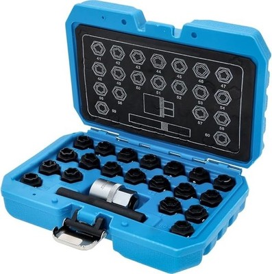 Brilliant Tools BT691050 Wheel Lock Assortment for BMW, 21 Pieces
