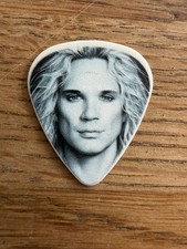 Guitar-Pick "Steel Panther"