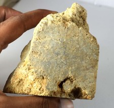 Naturale Indonesiano 1619 KT Grigio Fossil Corallo Gemma Grezzo Minerale Specie