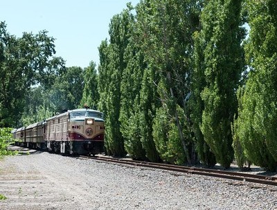 Napa Valley California Wine Train 2012 Excursion Train Vineyard Scene
