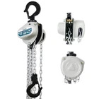 TOYO 550lbs Chain Hoist 1/4 Ton - Mini Hand Hoist with 10FT Chain, for Garage...