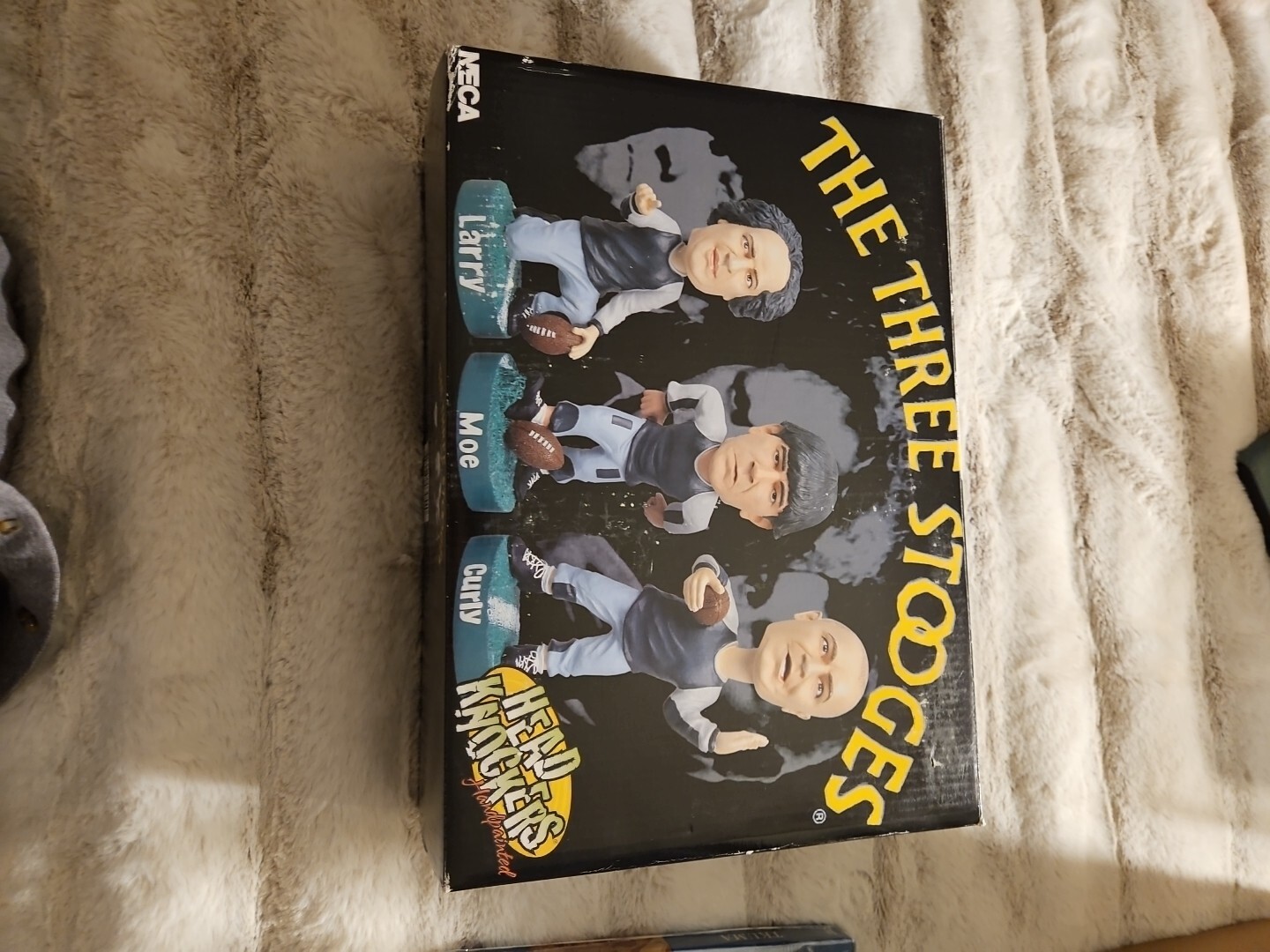 Picture 5 of 19