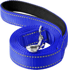 4FT Reflective Nylon Dog Leash with Soft Padded Handle for Walking, Running and