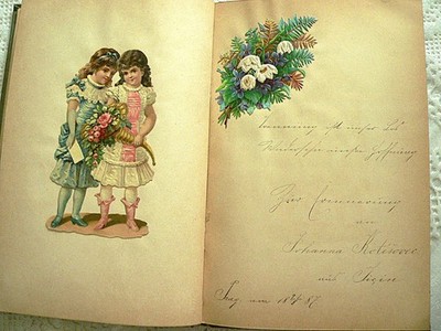 Antikes Poesiealbum,Alt-Österreich: 1886-1887, 48 Eintragungen Iglau,Prag