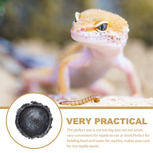 Turtle Disc Reptile Food Dish Bowl Lizard Water Drinking for Tank - Picture 2 of 12