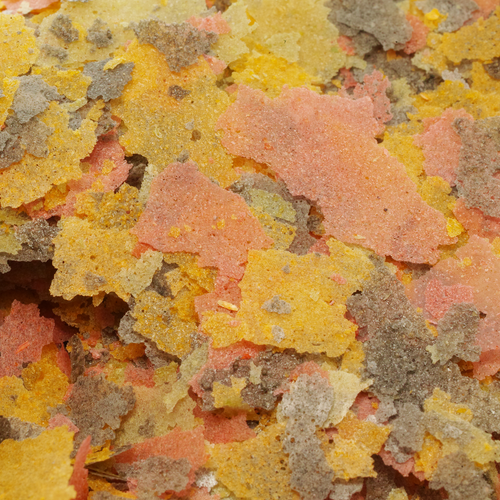 Sakana Goldfish Flakes Fish Food Premium Grade Fresh Coldwater Aquatic Feed Mix - Picture 31 of 49