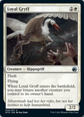 MTG Innistrad Midnight Hunt U Loyal Gryff #026 PLAYSET 4x x4
