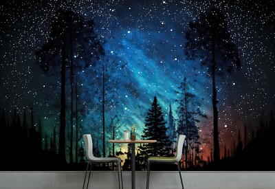 3D Shining Starry Sky ZHUA1301 Wallpaper Wall Murals Removable Self-adhesive Ann