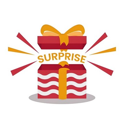 PREMIUM AMAZON Mystery 1 Box All New Liquidation SEALED From Warehouse New Free