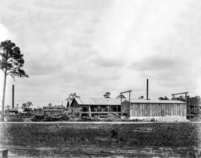 Dowling Co.  Odessa FL Pasco County FL Sawmill circa 1924 NEW 8x10 PHOTO