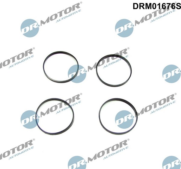 Dichtungssatz, AnsaugkrÜMmer FÜR BMW 5 (E60) - Dr.Motor Automotive DRM01676S-image