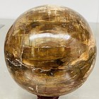 Natural Petrified Wood Polished Stone Quartz Crystal Sphere Ball Healing 2500G — photo 2