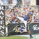 Ray Lewis Baltimore Ravens Football Signed Photo Global Authentics Original