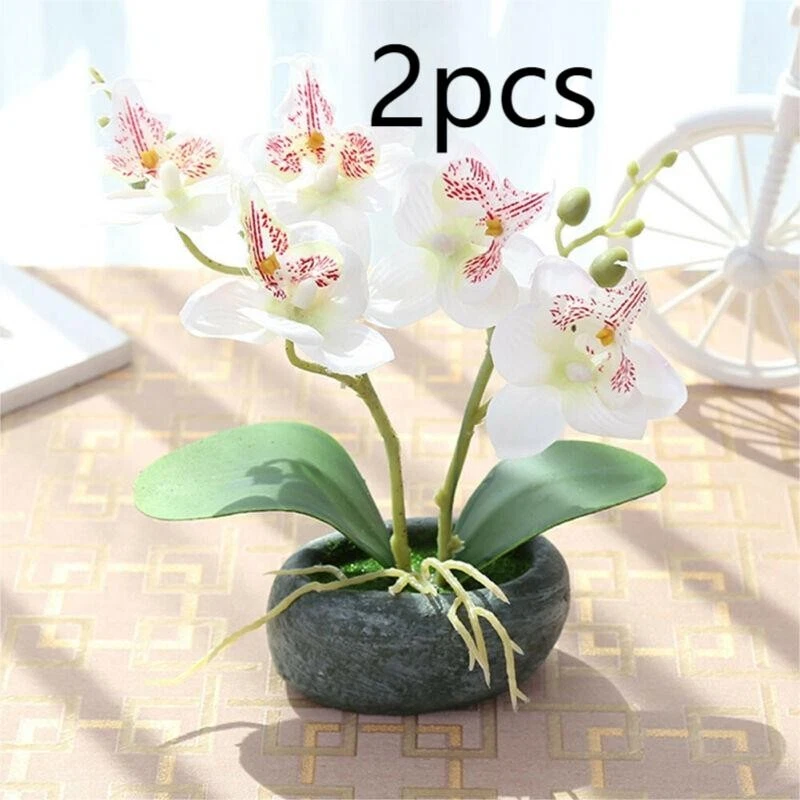 Foto 2 di 17