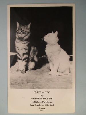 FREEMANS ROLL INN CASA GRANDE AND GILA BEND AZ POSTCARD 4B31