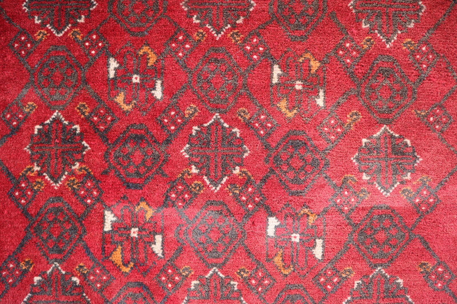 Picture 14 of 18