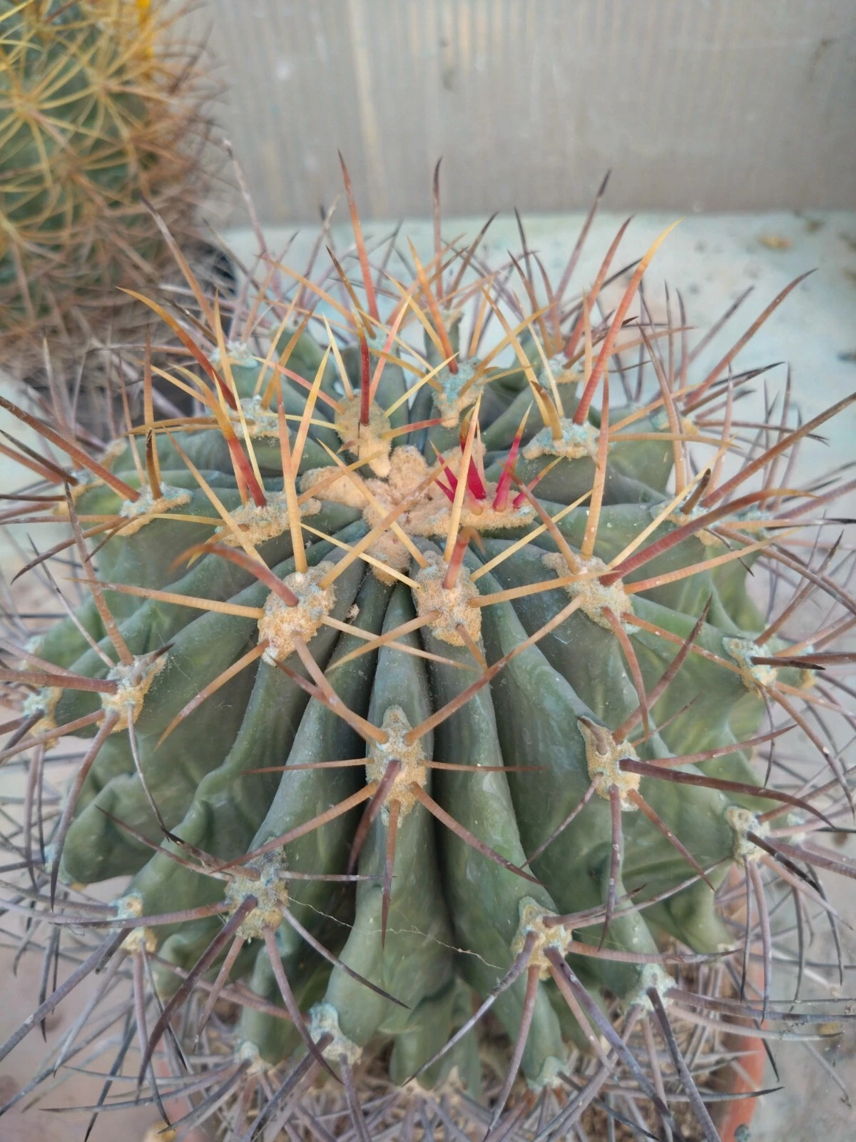 Foto 2 di 6