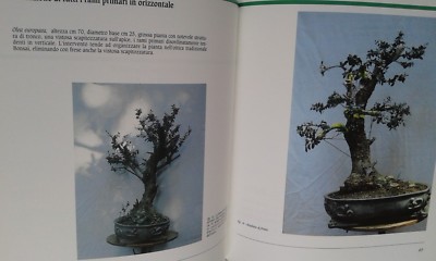 TECNICA BONSAI-CARLO BAZZALI-EDIZIONI EDAGRICOLE-RILEGATO | eBay