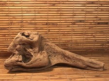Beautiful 12" Driftwood Piece Terrarium Reptile Taxidermy Aquarium Beach Decor