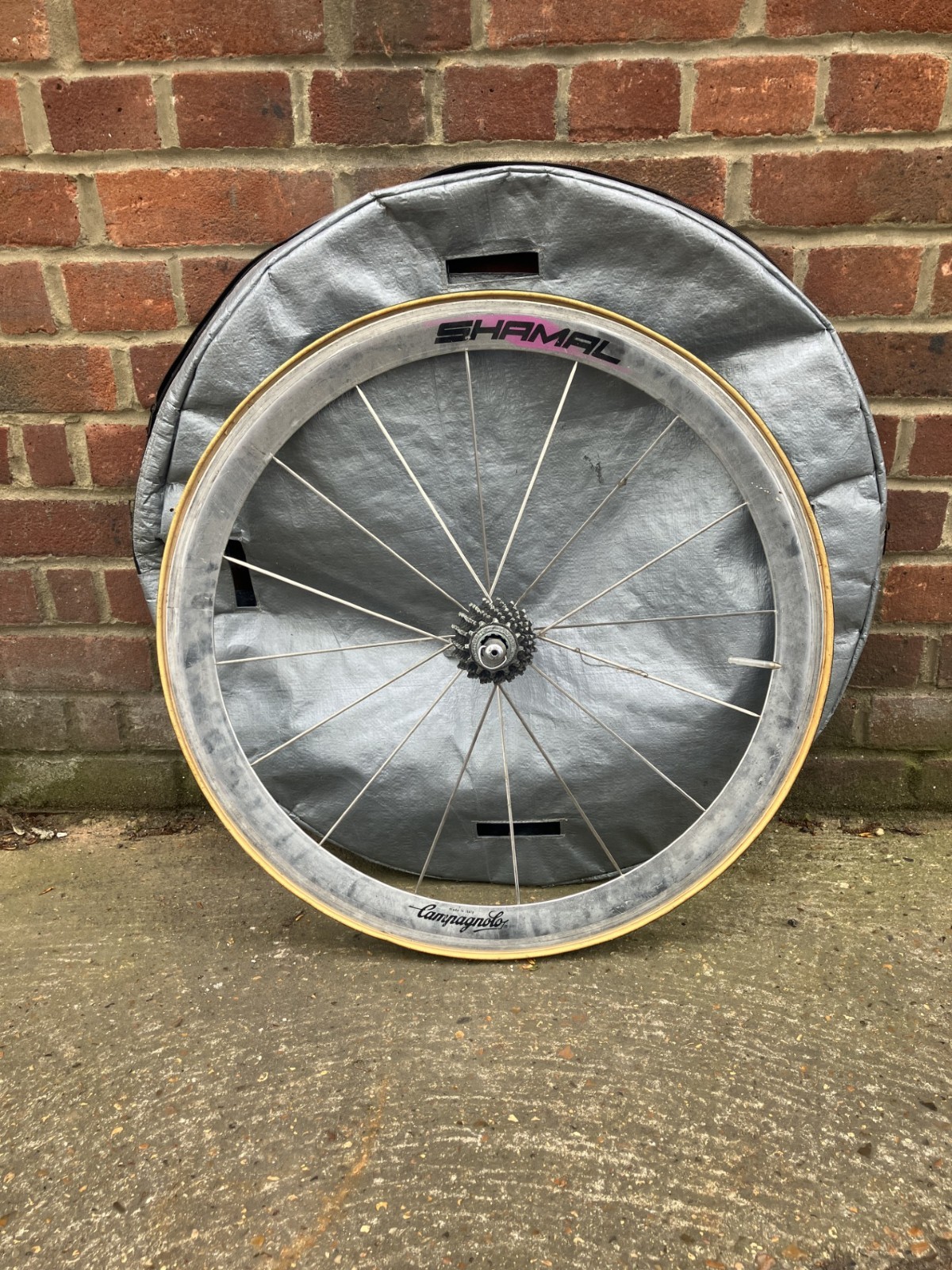 Campagnolo Shamal 26" Rear Wheel | 8-Speed Clincher 650C | With Cassette Vintage