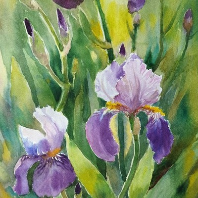 Irises Watercolor Painting Original Floral Art Purple Flowers Impressionism Art