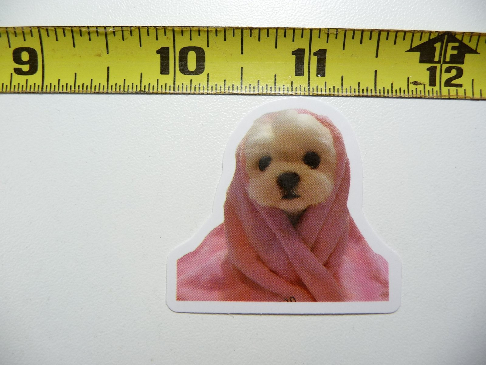 Cute Funny Dog Scarf Sticker Decal AX129 Small Pet Accessory