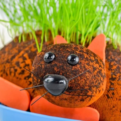 HAIRY PUSSY CAT - Grow Your Chia Pet Plant - Fun Adult Gag Prank