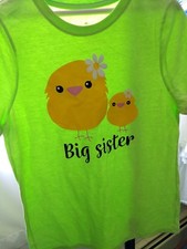 Two Chicks Themed Big Sister Printed T-shirt
