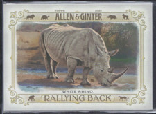 2021 Allen & Ginter Rallying Back #RB-7 White Rhino - MINT