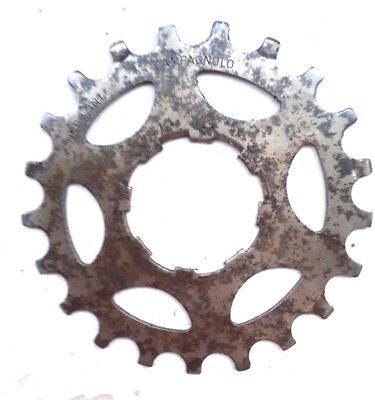 Krone für CAMPAGNOLO Kassette 20 Zähne, Rennrad Bianchi Colnago
