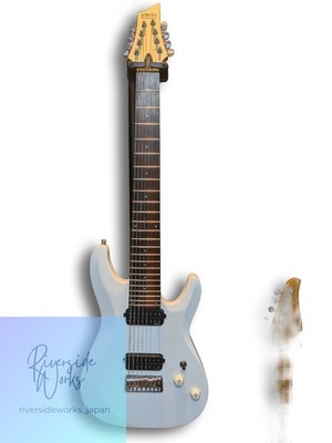 SCHECTER C-8 DELUXE SWHT 8-saitige Gitarre