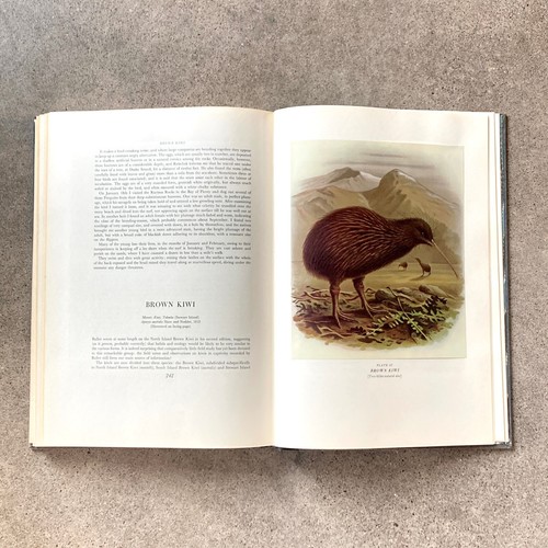 Buller's Birds of New Zealand, by E.G. Turbott, 1967. 48-Superb Color Plates - Picture 5 of 17
