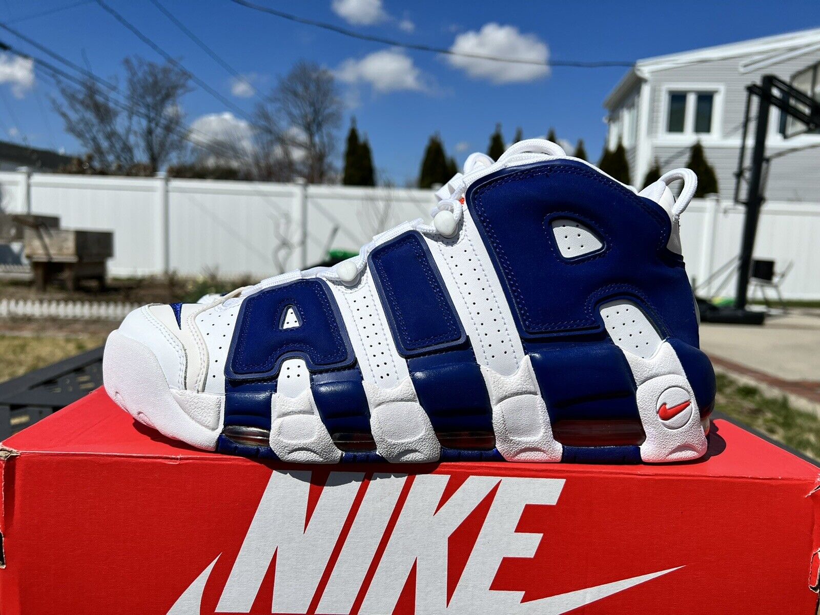 Nike Toddler Air More Uptempo Basketball Shoes