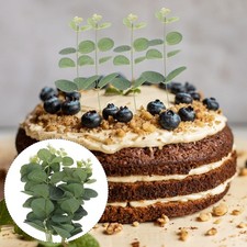  20pcs Natural Eucalyptus Leaf Cake Decoration Inserts for Birthday Holiday