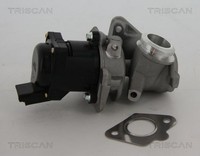 Triscan Agr-Ventil 8813 10010 FüR CitroËN Fiat Peugeot Suzuki