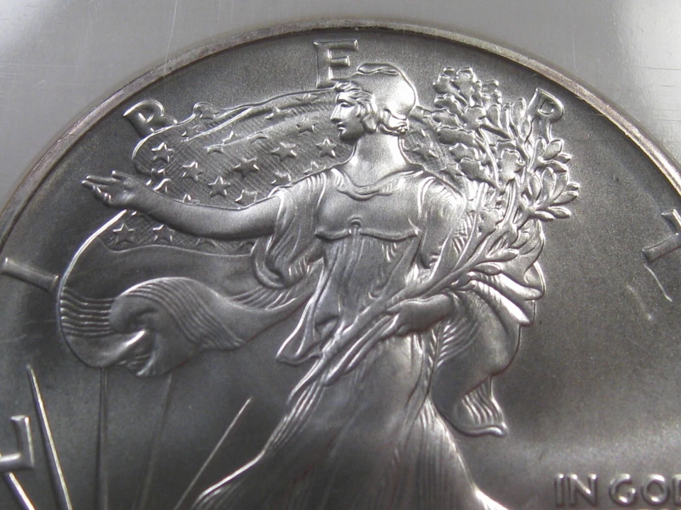 Meglio Periodo Bu 1991 Argento American Eagle NGC MS69. #25 - Immagine 3 di 4